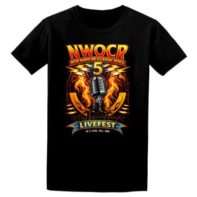 2026 Festival Design - GD01B Softstyle® Youth T-Shirt Thumbnail